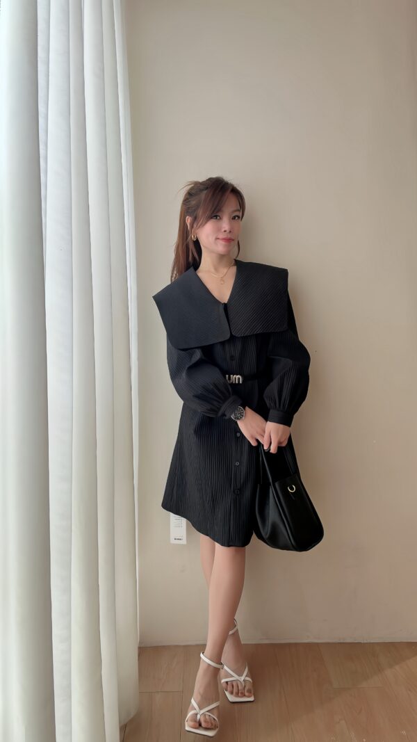 Aurora Collar Shift Dress