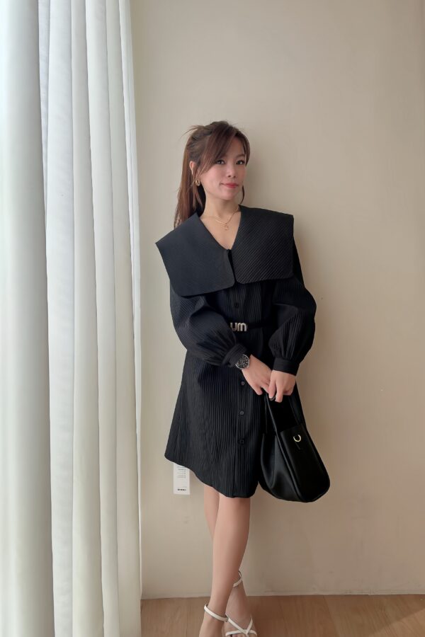 Aurora Collar Shift Dress