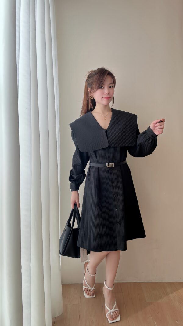 Aurora Collar Shift Dress - Image 2