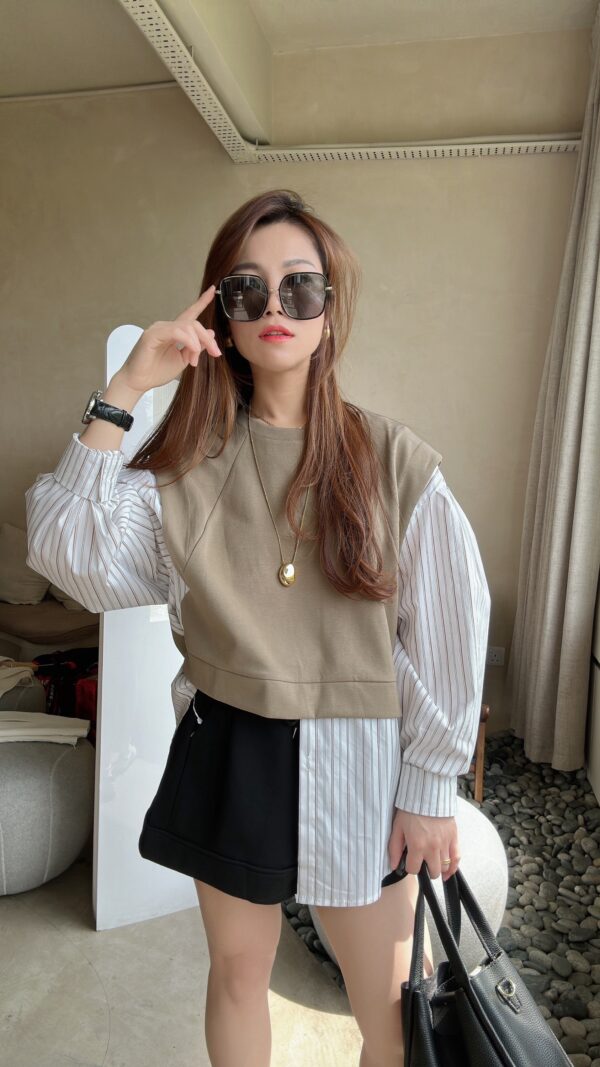 Dressy Stripe 2-toned Blouse